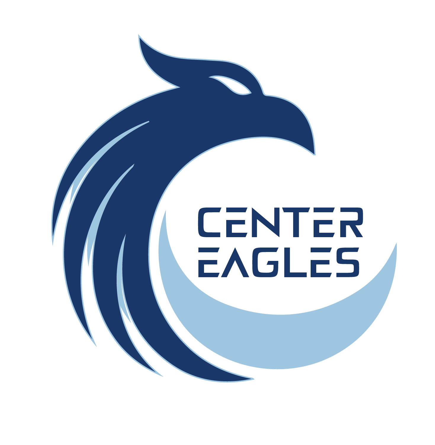 مركز النسور  |  elnosor